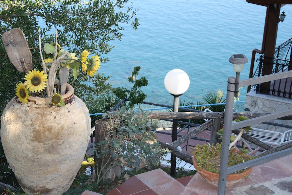 Camere & Case Vacanze Lo Scoglio كاسيل دي توسا المظهر الخارجي الصورة