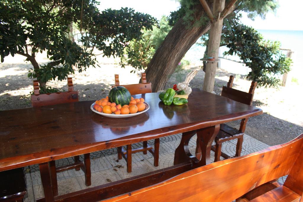 Camere & Case Vacanze Lo Scoglio كاسيل دي توسا المظهر الخارجي الصورة