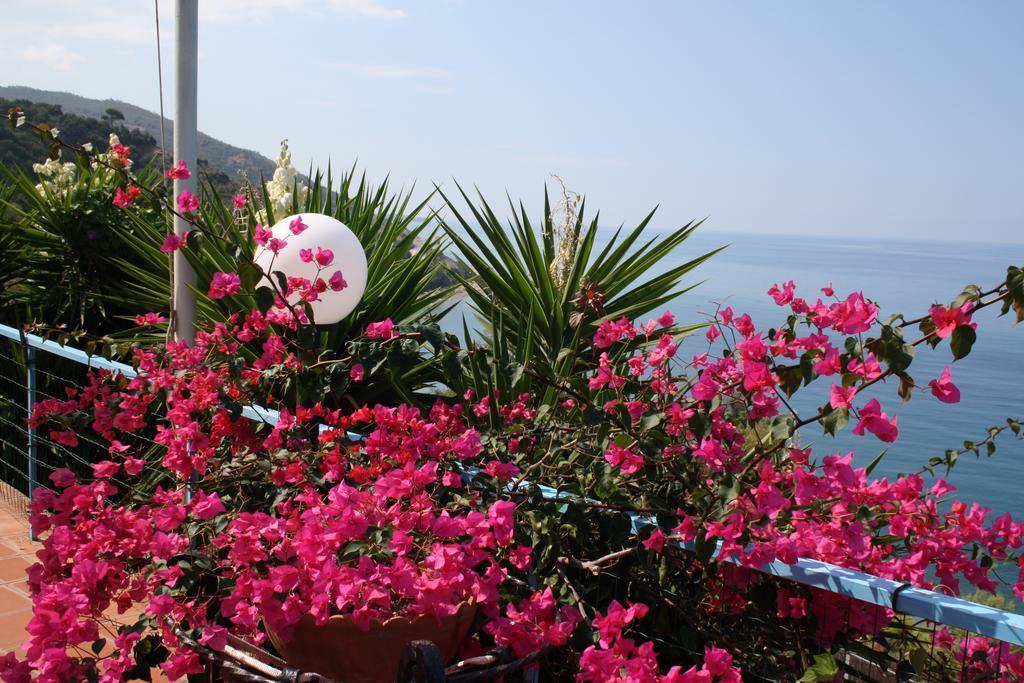 Camere & Case Vacanze Lo Scoglio كاسيل دي توسا المظهر الخارجي الصورة