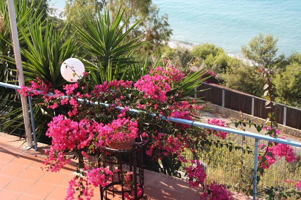 Camere & Case Vacanze Lo Scoglio كاسيل دي توسا المظهر الخارجي الصورة