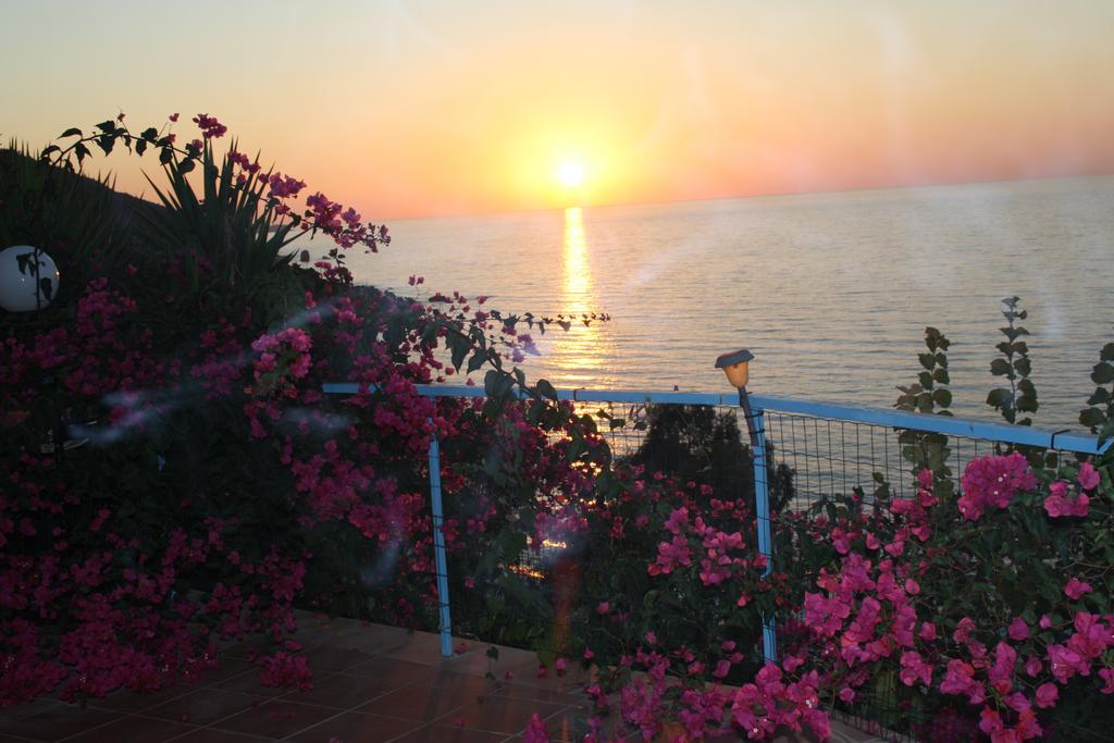 Camere & Case Vacanze Lo Scoglio كاسيل دي توسا المظهر الخارجي الصورة
