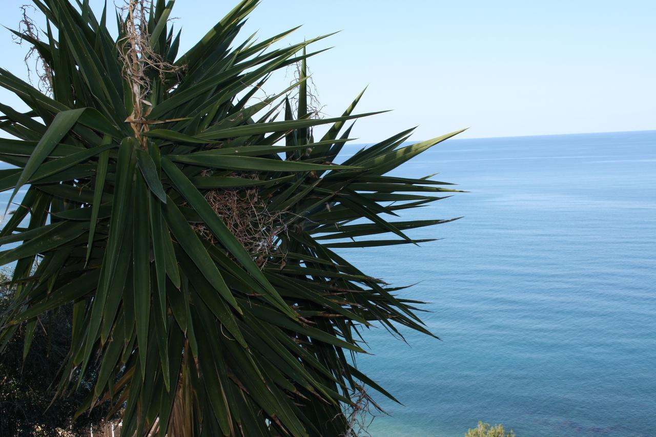Camere & Case Vacanze Lo Scoglio كاسيل دي توسا المظهر الخارجي الصورة
