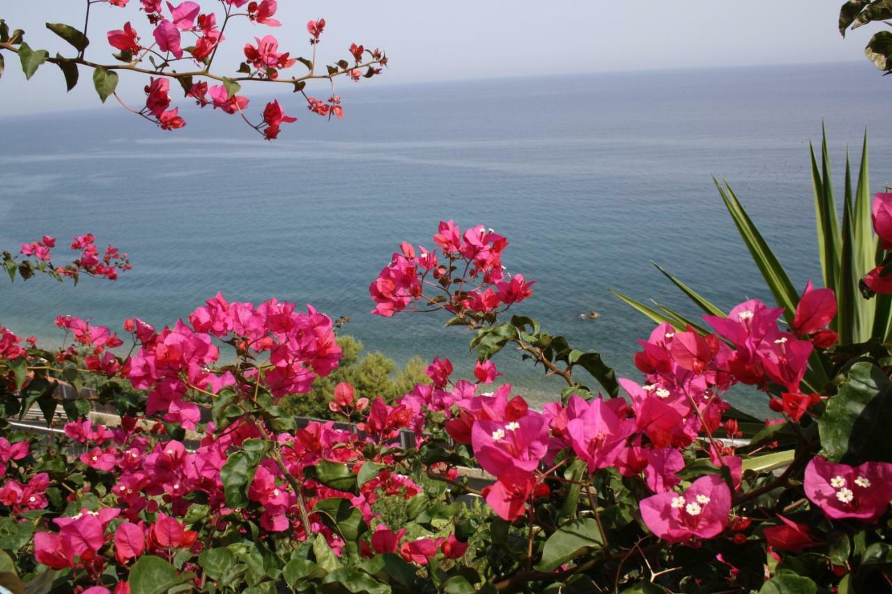 Camere & Case Vacanze Lo Scoglio كاسيل دي توسا المظهر الخارجي الصورة